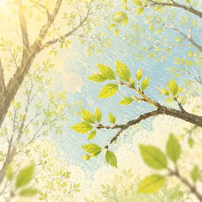 Fresh Spring Leaves in Morning Light