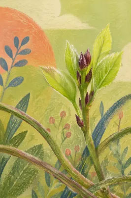 Fresh Spring Sprout in Morning Light