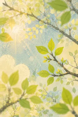 Fresh Spring Leaves in Morning Woodland Light
