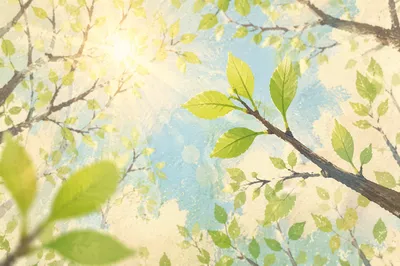 Fresh Spring Leaves in Morning Woodland Light