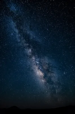 Starry Wilderness Night Sky with Milky Band