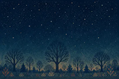 Starry Night Sky Above Quiet Woodland