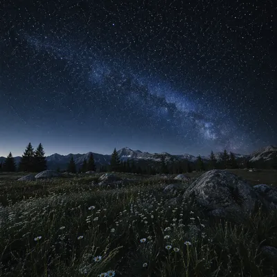 Starry Night Sky Over Alpine Meadow