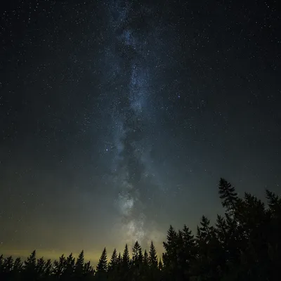 Starry Night Sky Over Quiet Forest