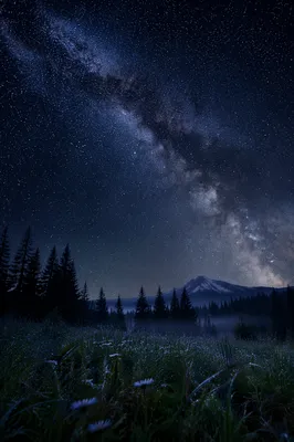 Starry Night Sky Over Quiet Meadow