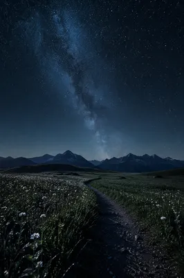 Starry Night Sky Over Alpine Meadow