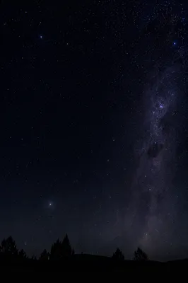 Moonless Starry Night Sky Over Quiet Treeline