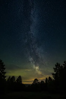 Starry Night Sky Above Quiet Forest
