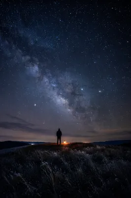 Starry Night Meadow With Lone Silhouette