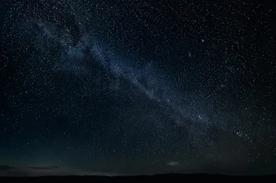 Star Filled Dark Wilderness Night Sky