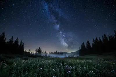 Starry Night Sky Over Alpine Meadow