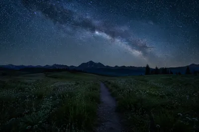 Starry Night Sky Over Alpine Meadow