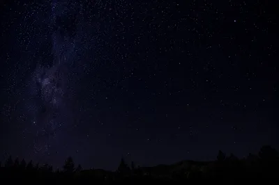 Moonless Starry Night Sky with Quiet Treeline