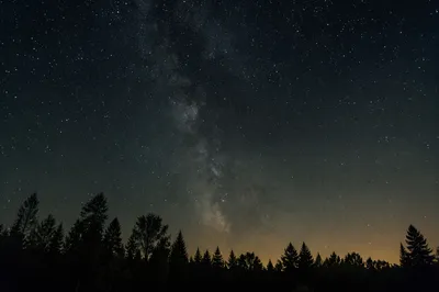 Starry Night Sky Over Silent Forest
