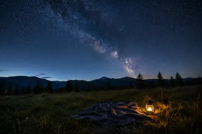 Starry Meadow Night with Warm Lantern