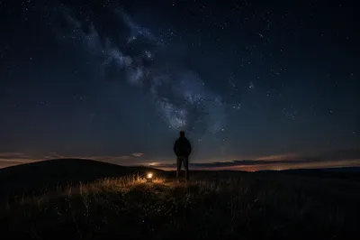 Starry Meadow Under Reverent Night Sky