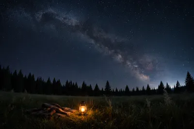 Quiet Meadow Under Starry Night Sky
