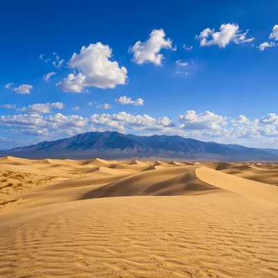 Golden Desert Dunes Under Summer Sky