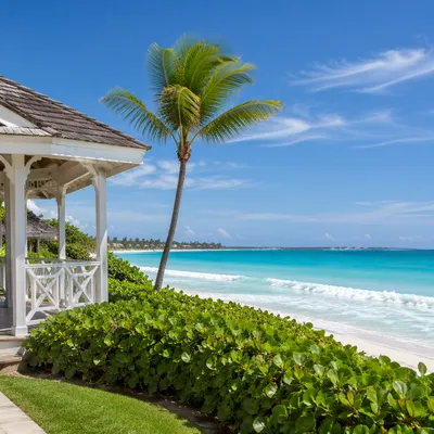 Sunny Tropical Seaside Garden Terrace