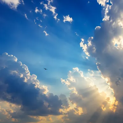 Sunlit Summer Sky With Cumulus Clouds
