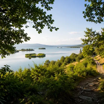 Sunny Summer Lake Through Hillside Trees