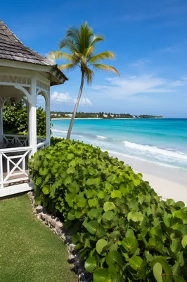 Sunny Tropical Seaside Garden Terrace