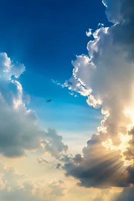 Sunlit Summer Clouds Over Blue Sky