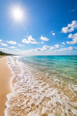 Sunny Summer Beach with Turquoise Waves