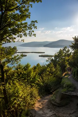 Sunny Summer Lake Overlook Through Green Foliage
