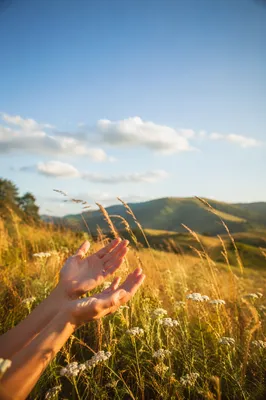 Grateful Hands in Sunny Summer Meadow