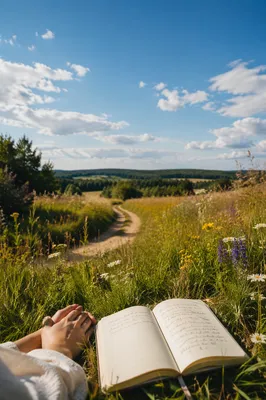 Summer Meadow Journal Under Sunny Blue Sky
