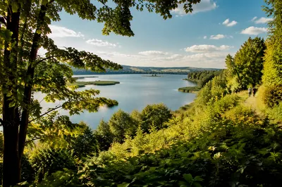 Sunny Summer Lake Overlook Through Green Foliage
