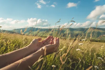 Open Hands in Sunny Summer Meadow