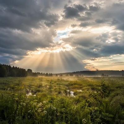 Sun Rays Over Rainwashed Meadow