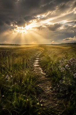 Sun Rays Over Stormy Meadow Path