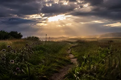 Sun Rays Over Storm Meadow Path