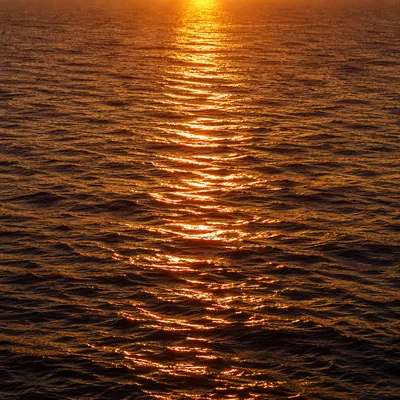 Golden Sunset Reflections on Calm Ocean
