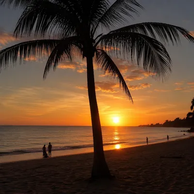 Golden Sunset Palm Over Calm Ocean Horizon