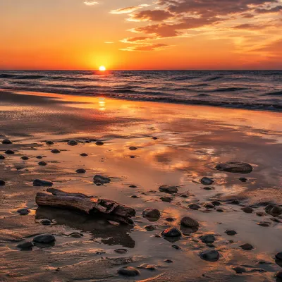 Golden Hour Ocean Horizon at Sunset