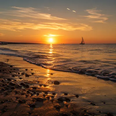 Golden Sunset Ocean Horizon with Distant Sailboat