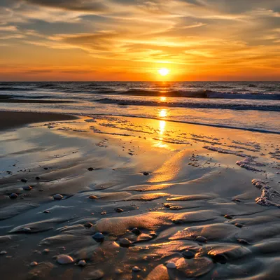 Golden Sunset Ocean Horizon Shoreline