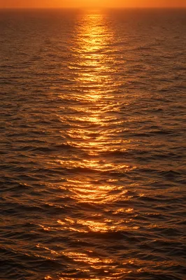 Golden Sunset Ocean Horizon Reflections