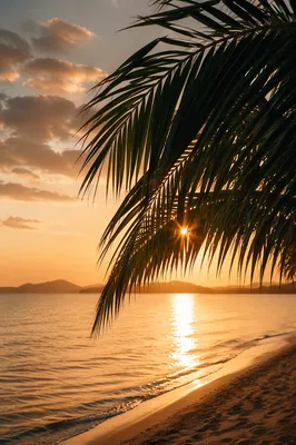 Golden Tropical Ocean Sunset with Palm Silhouettes