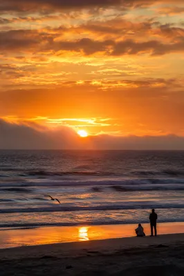 Golden Ocean Sunset with Quiet Silhouettes
