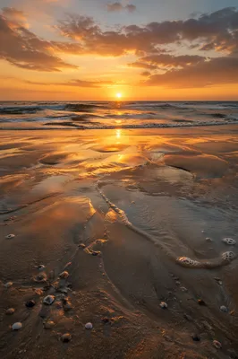 Golden Sunset Ocean Horizon Shoreline