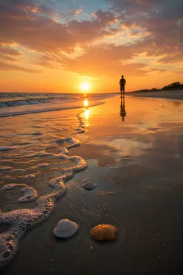 Golden Sunset Ocean Horizon Reflection