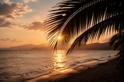 Golden Sunset Ocean Horizon With Palm Silhouettes