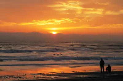 Golden Coastal Sunset Over Calm Ocean