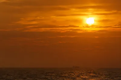 Golden Sunset Ocean Horizon With Cargo Silhouette