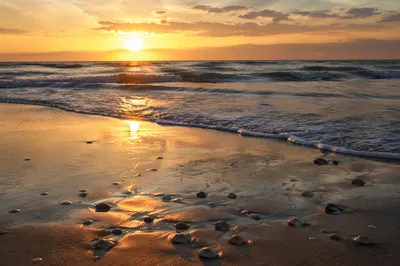 Golden Hour Ocean Horizon at Peace